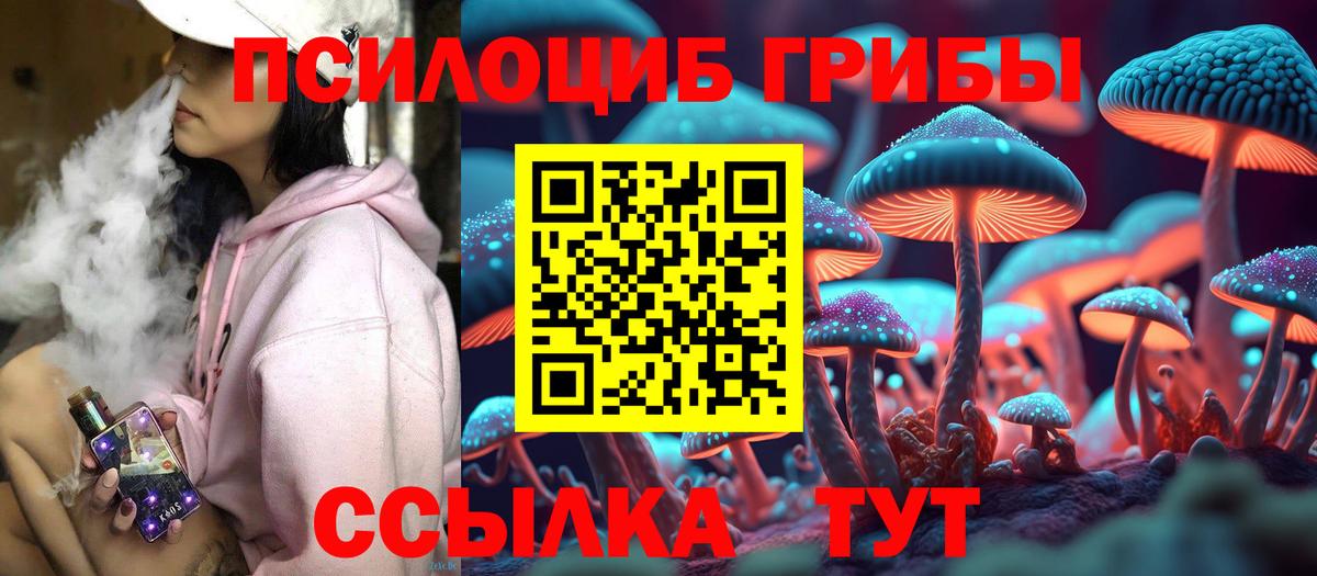 Химки  как найти закладки  Вход с VPN  Галлюциногенные грибы мицелий  Галлюциногенные грибы мухоморы 