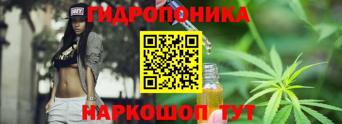 Конопля план  Марихуана сатива  Вход с VPN  Химки  Марихуана сатива 